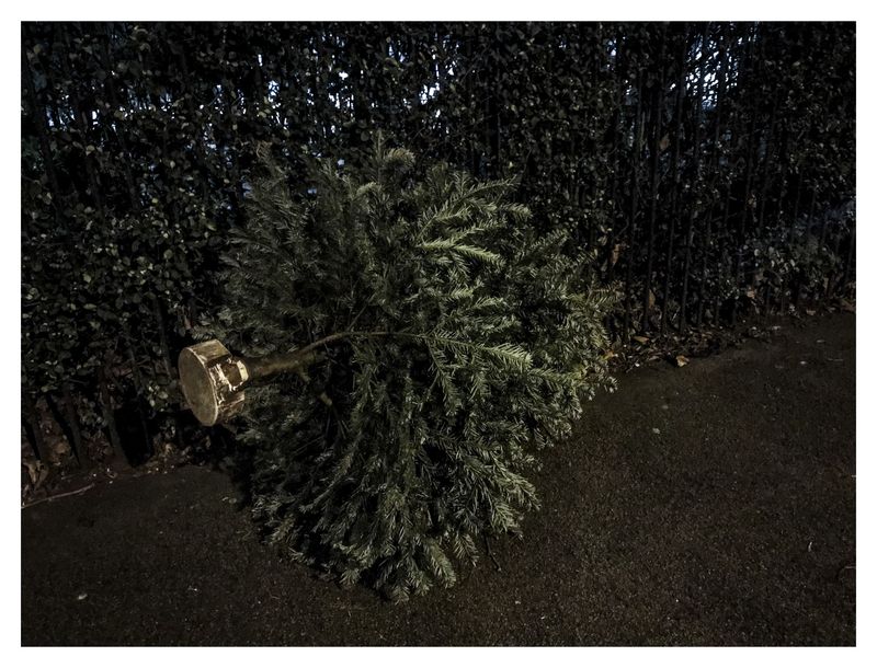 © Camila Vasconcellos - Image from the Between being and nothingness photography project