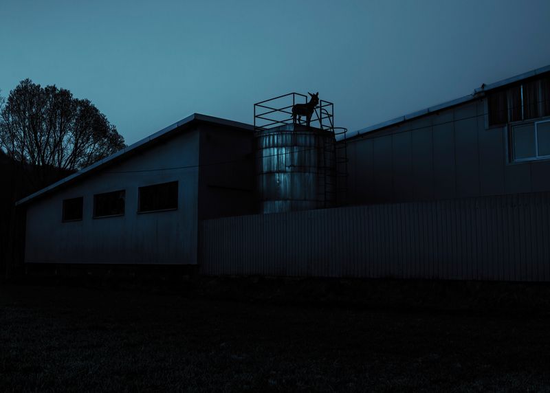 © Adam Żądło - Image from the Deserted village photography project