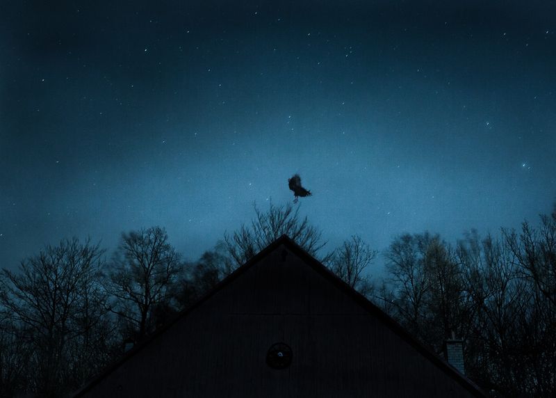 © Adam Żądło - Image from the Deserted village photography project