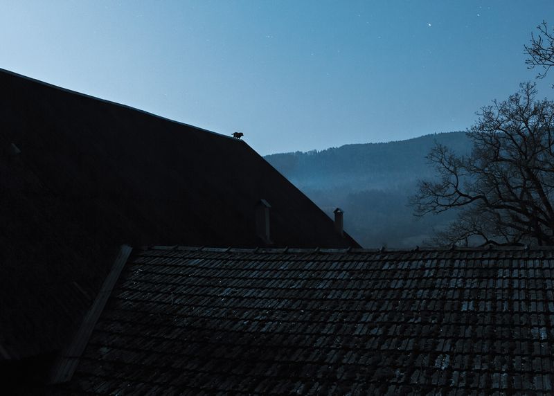 © Adam Żądło - Image from the Deserted village photography project
