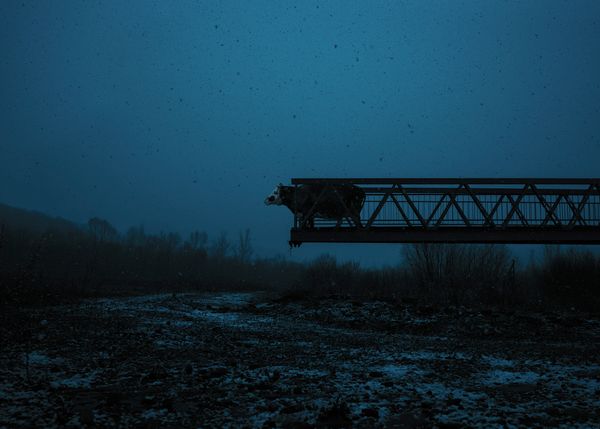 © Adam Żądło - Image from the Deserted village photography project