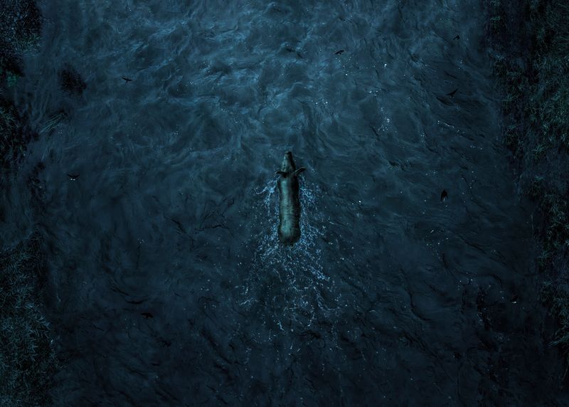 © Adam Żądło - Image from the Deserted village photography project