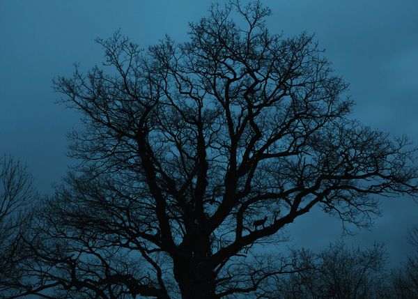 © Adam Żądło - Image from the Deserted village photography project