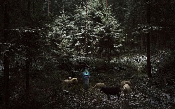 © Adam Żądło - Image from the Shepherds photography project