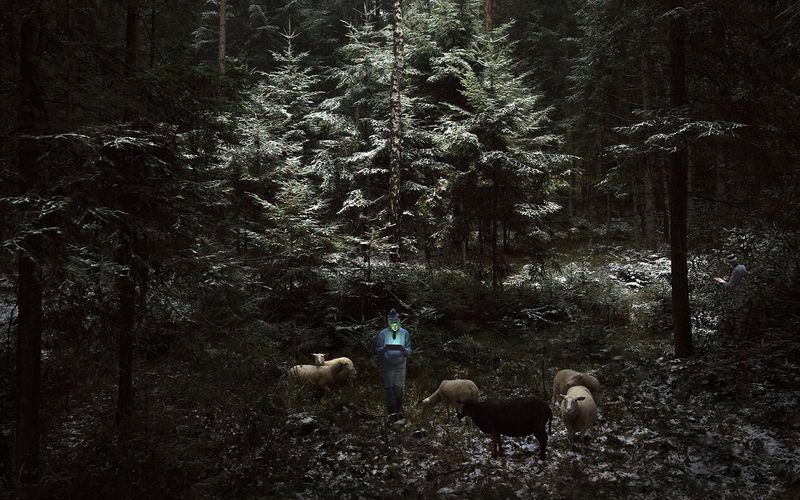 © Adam Żądło - Image from the Shepherds photography project