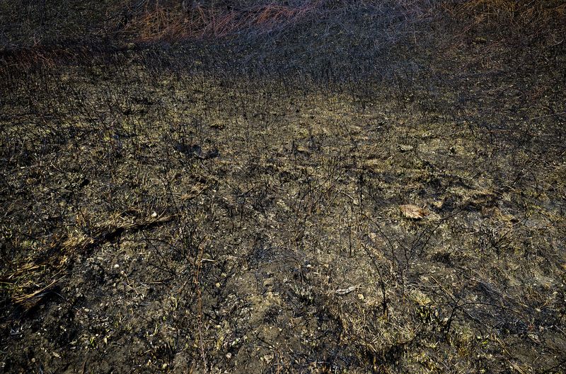 © Adam Żądło - Image from the Eight Traps photography project
