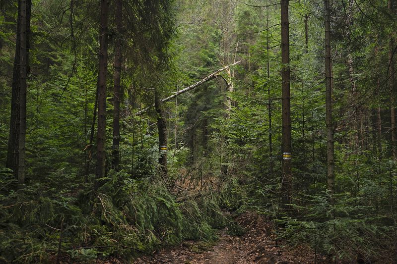 © Adam Żądło - Image from the Eight Traps photography project