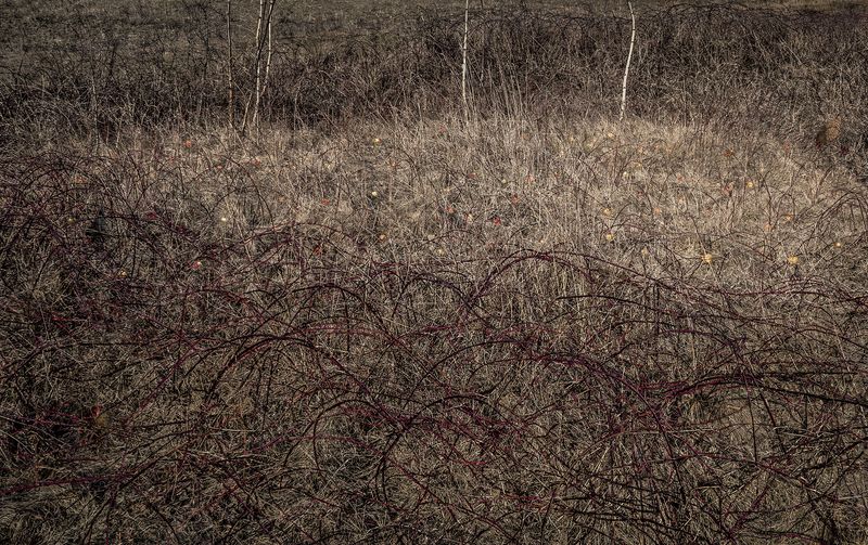 © Adam Żądło - Image from the Eight Traps photography project