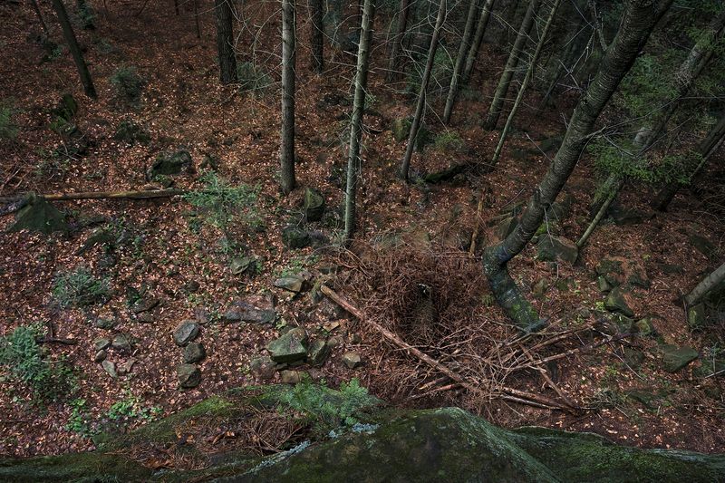 © Adam Żądło - 05. Pit. Lost sheepWho will come first, a predator or a shepherd? Image about helplessness and hope.