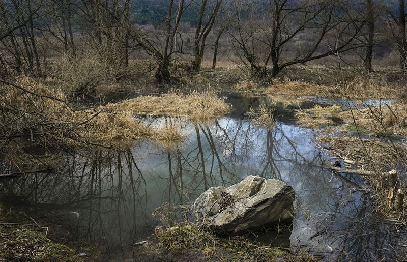 © Adam Żądło - Image from the Eight Traps photography project