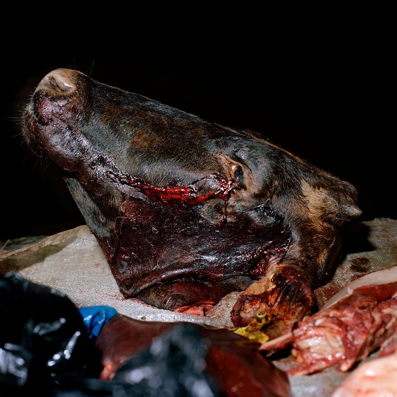 © Ditte Haarløv Johnsen - Blood Tears. 2009