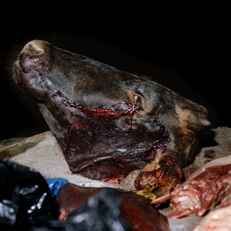 © Ditte Haarløv Johnsen - Blood Tears. 2009