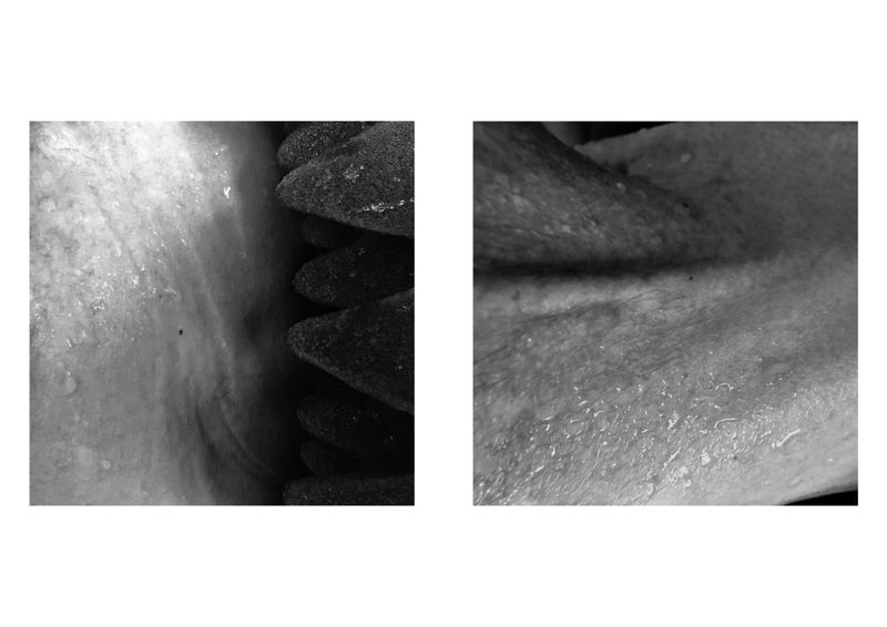 © Celante - Image from the Esmoressências (faded essences) photography project