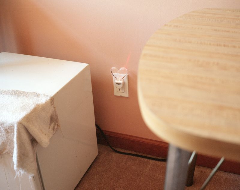 © Lea Hoang - Metta, Temple of Enlightenment