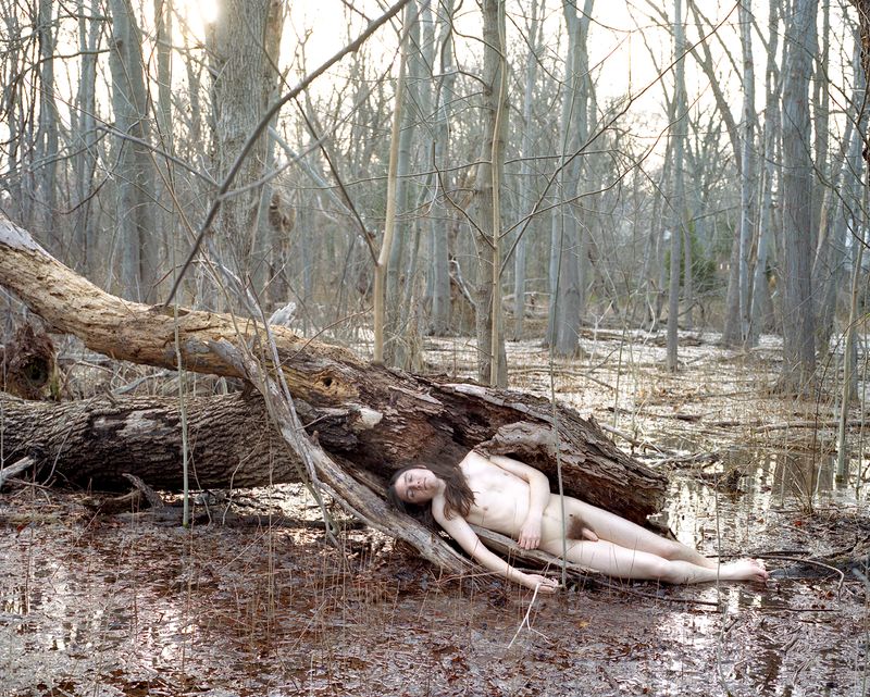 © Lea Hoang - Dragor, Sleeping