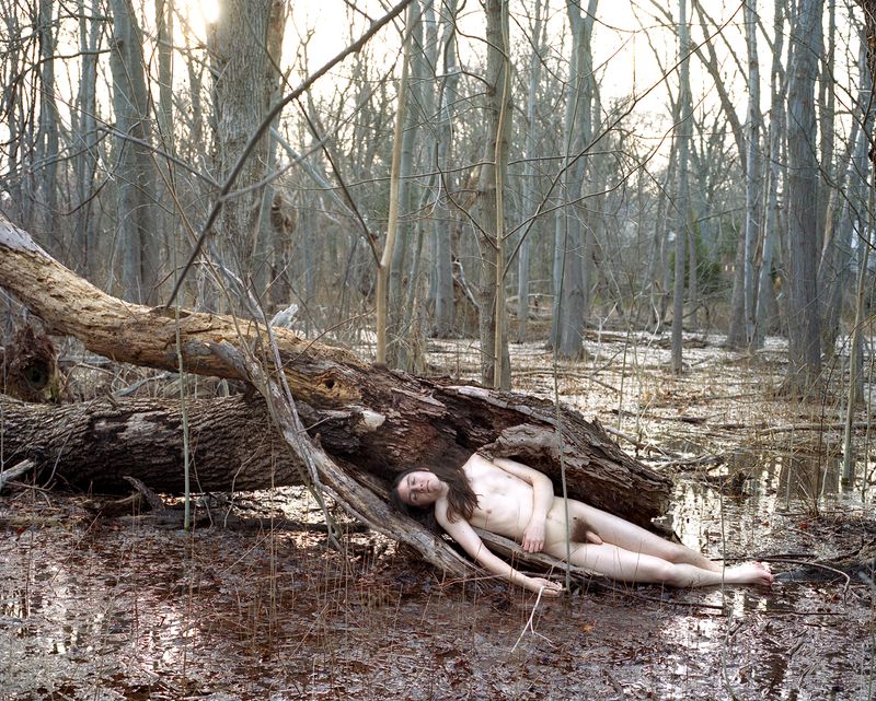 © Lea Hoang - Dragor, Sleeping