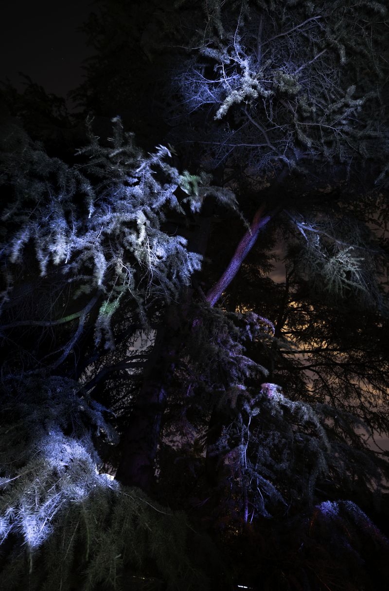 © Cristobal Ascencio - Image from the Las flores mueren dos veces photography project