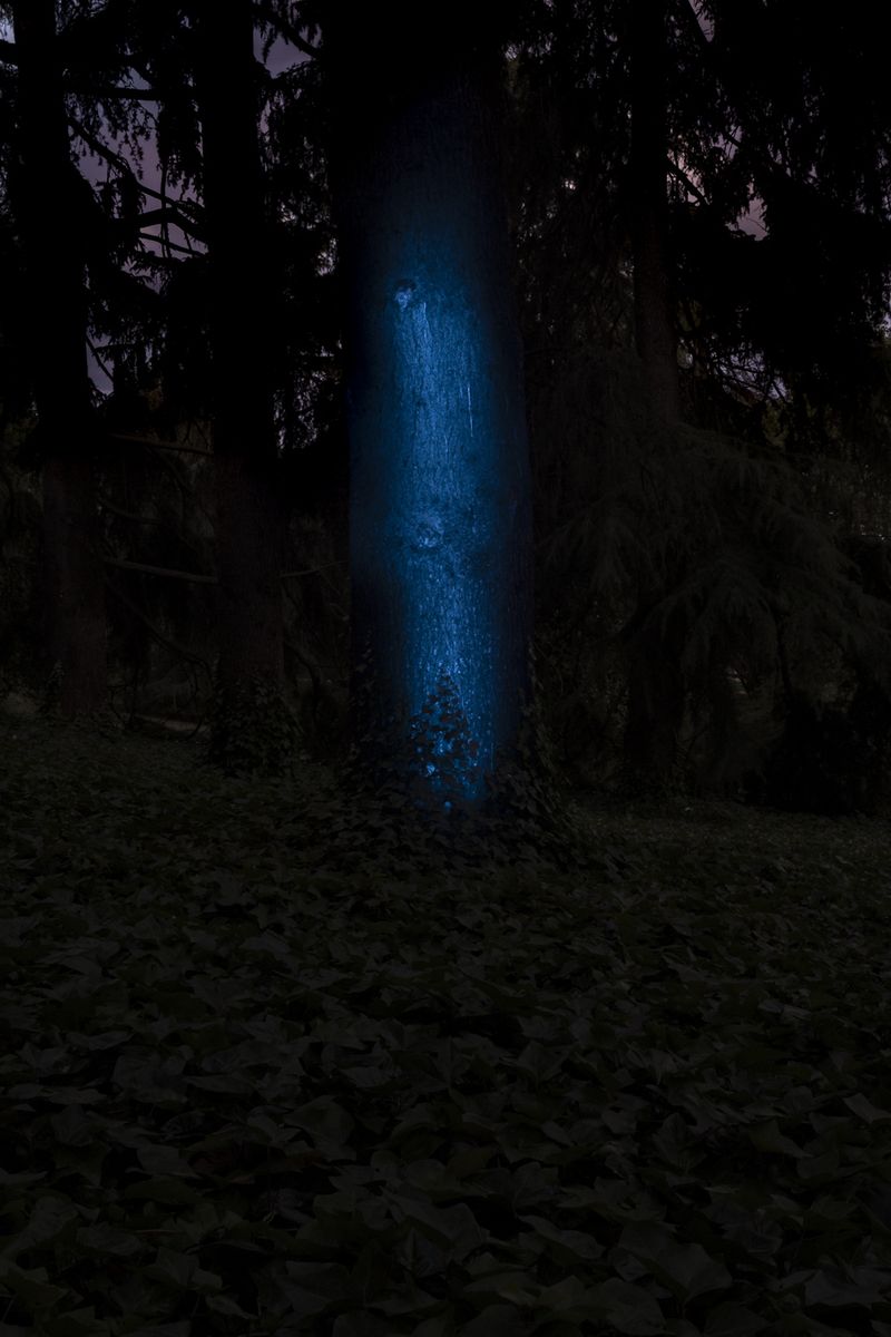 © Cristobal Ascencio - Image from the Las flores mueren dos veces photography project