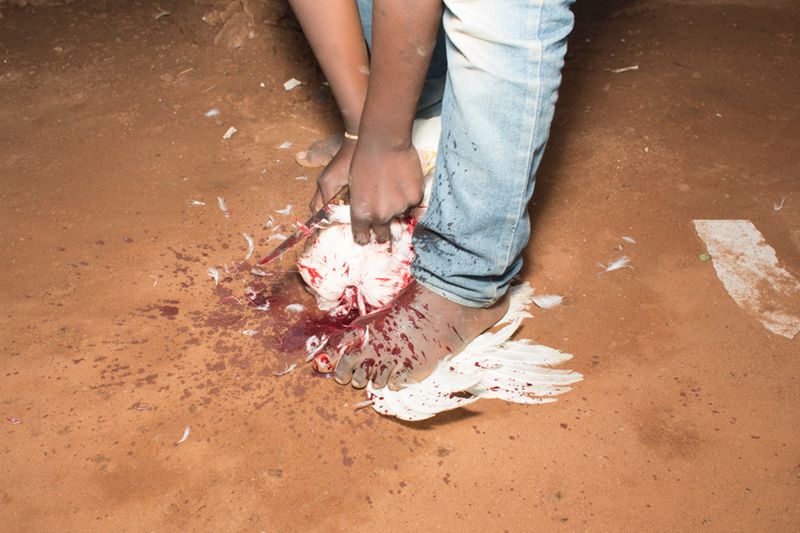 © Giya Makondo-Wills - Image from the They Came From The Water While The World Watched photography project