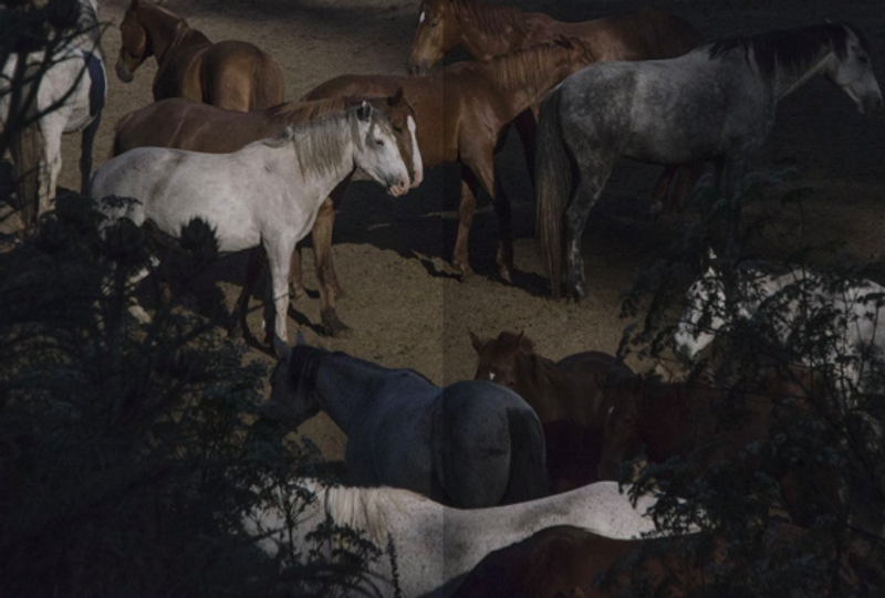 © Daniela  Unger - Image from the How long do houses live? photography project