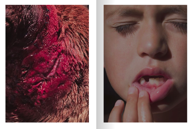 © Daniela  Unger - Image from the How long do houses live? photography project