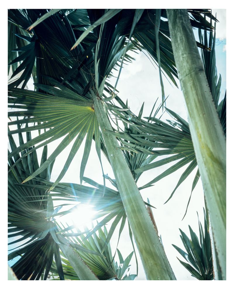 © Emilio azevedo - Image from the Rondônia (how I fell in love with a line) photography project