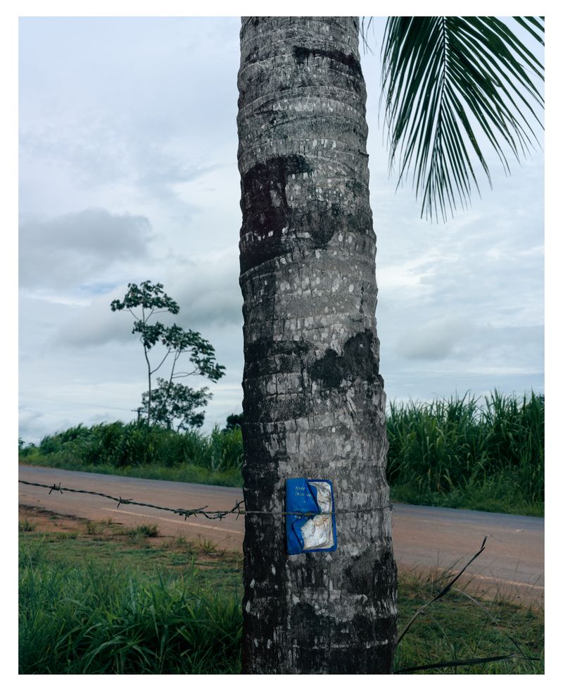 © Emilio azevedo - Image from the Rondônia (how I fell in love with a line) photography project