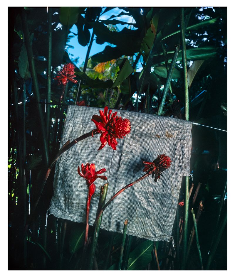 © Emilio azevedo - Image from the Rondônia (how I fell in love with a line) photography project