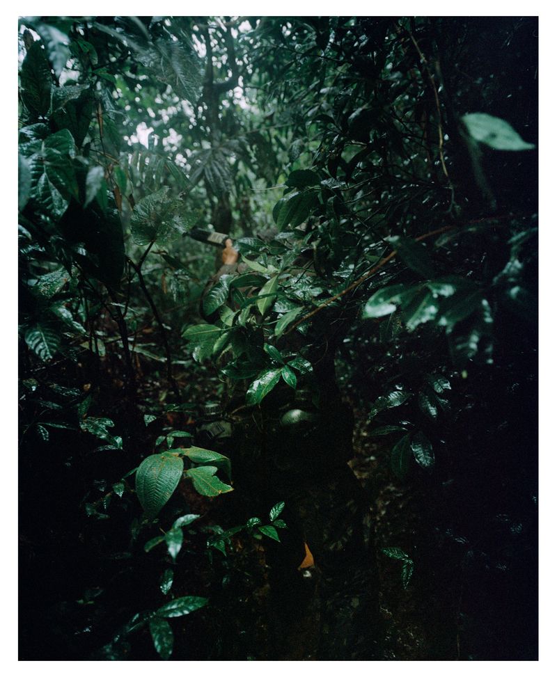 © Emilio azevedo - Image from the Rondônia (how I fell in love with a line) photography project