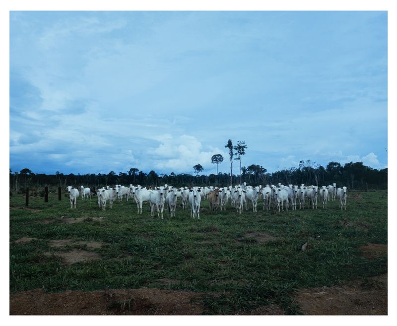 © Emilio azevedo - Image from the Rondônia (how I fell in love with a line) photography project