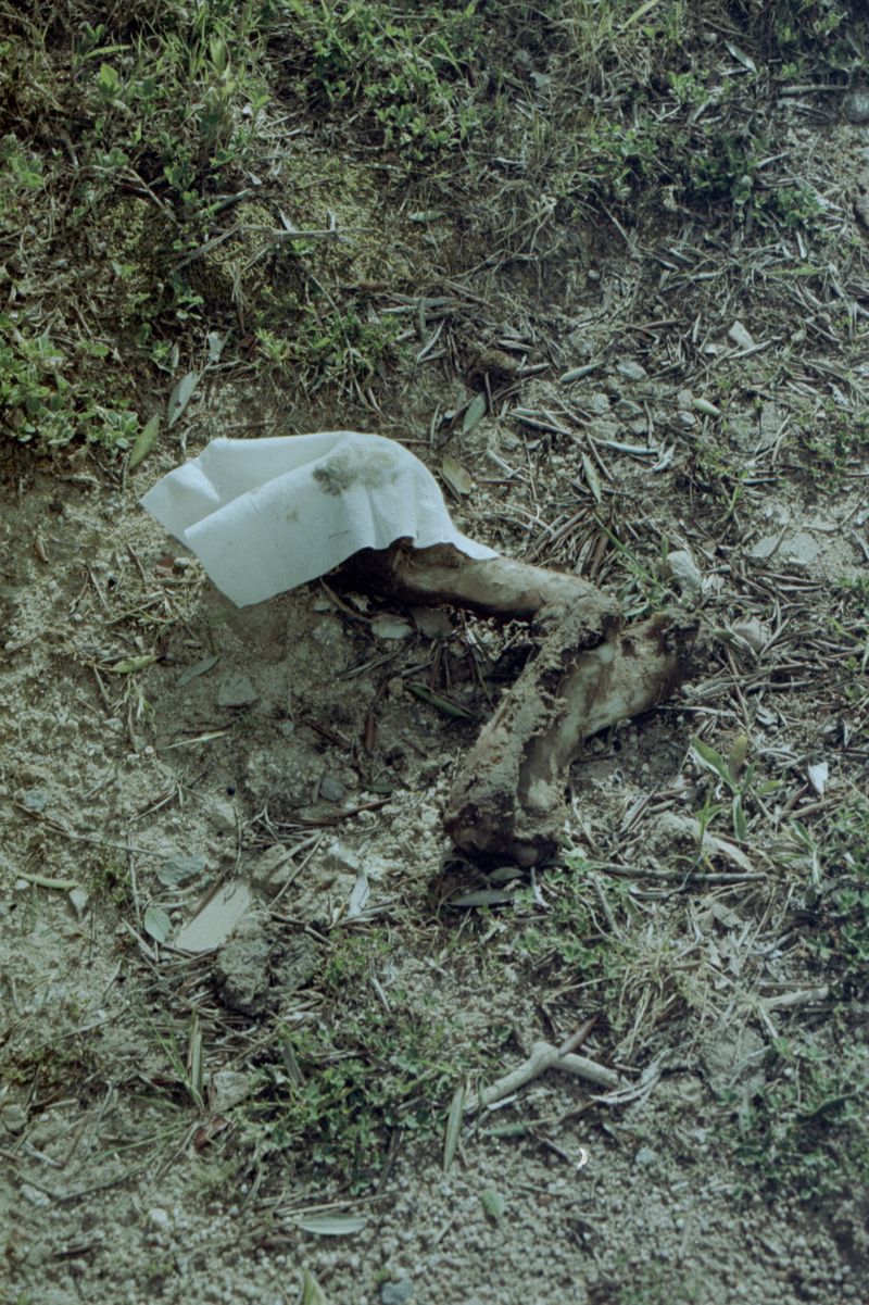 © Ali Beşikçi - Image from the Masumiyet photography project