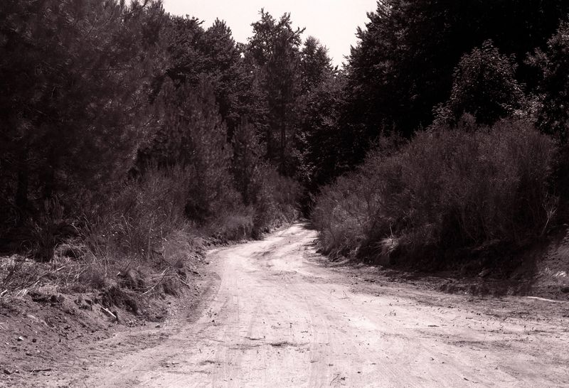 © Ali Beşikçi - Image from the Phantasm photography project