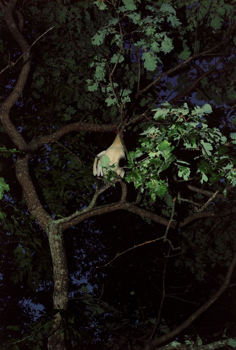 © Ali Beşikçi - Image from the Phantasm photography project