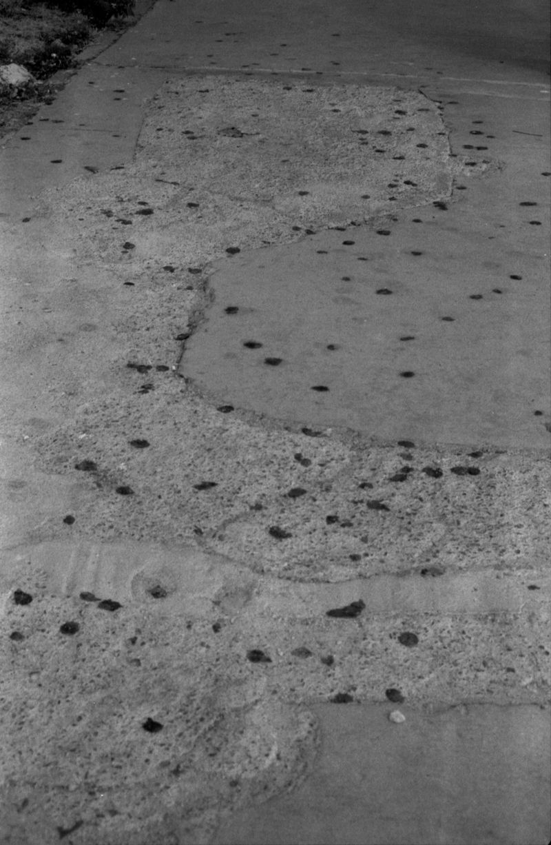 © Ali Beşikçi - Image from the Masumiyet photography project