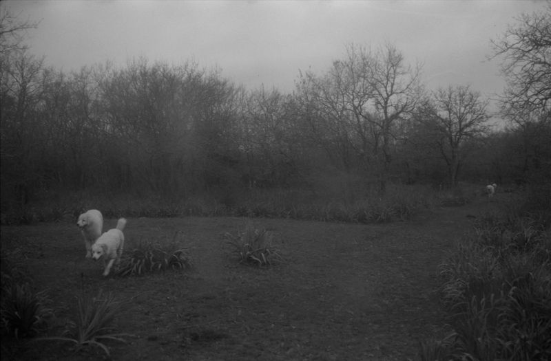 © Ali Beşikçi - Image from the Masumiyet photography project