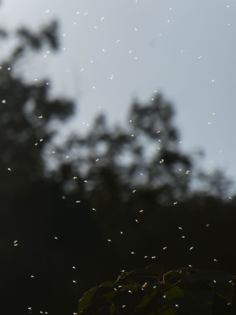 © XIANGQI YIN - Image from the Form Fragments photography project