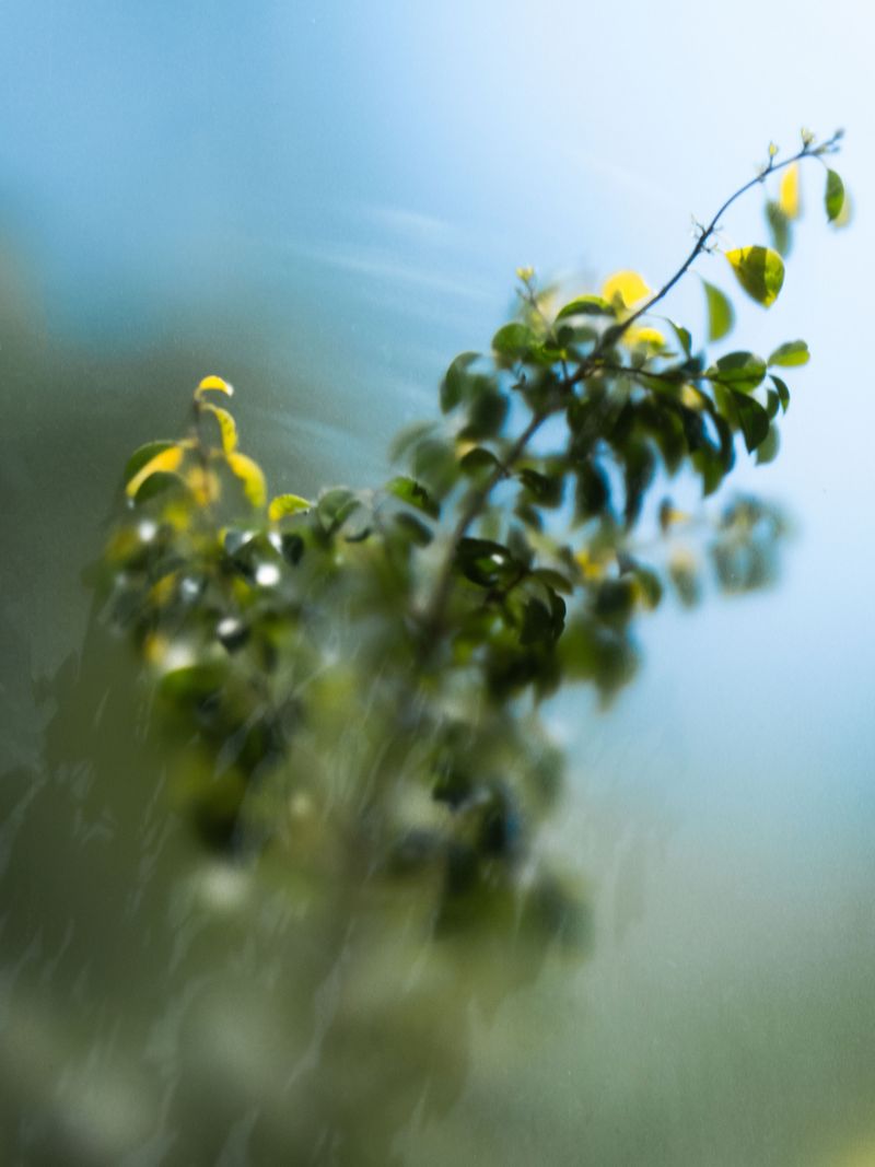 © XIANGQI YIN - Image from the Form Fragments photography project