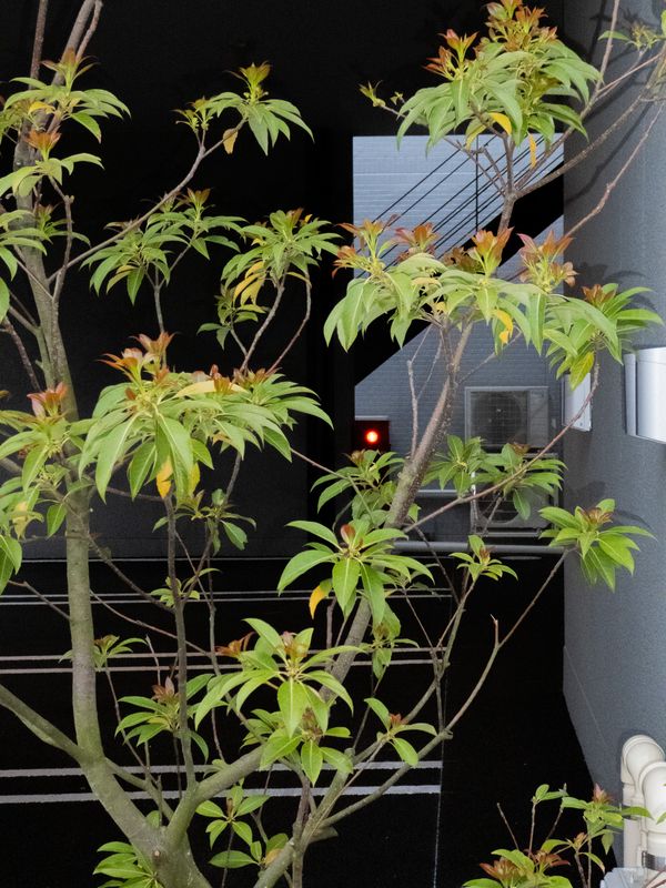 © XIANGQI YIN - Image from the Form Fragments photography project