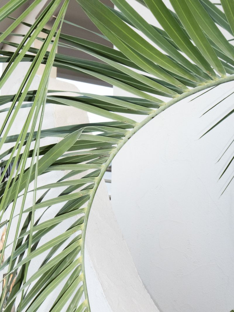 © XIANGQI YIN - Image from the Form Fragments photography project