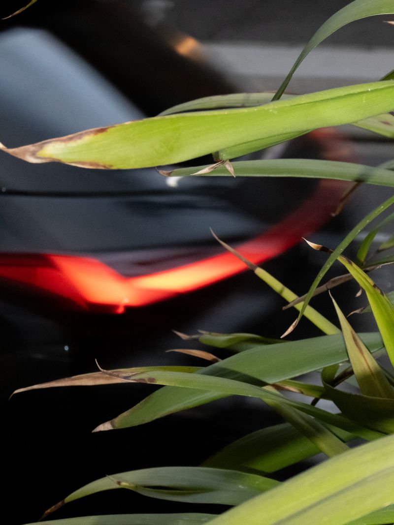 © XIANGQI YIN - Image from the Form Fragments photography project