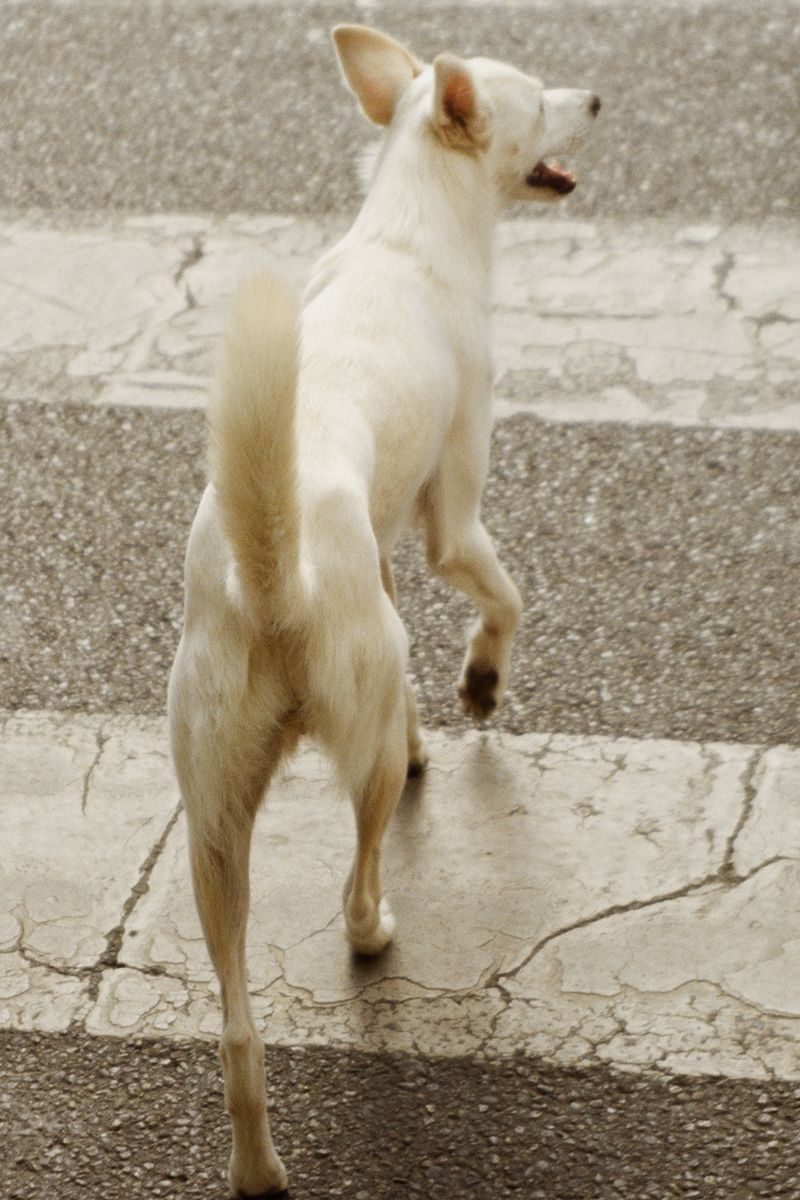 © XIANGQI YIN - Image from the Splendid Me Splendid You photography project