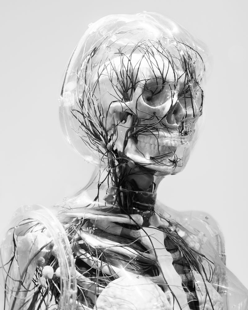 © XIANGQI YIN - Image from the The Dual Gaze of the Moon photography project