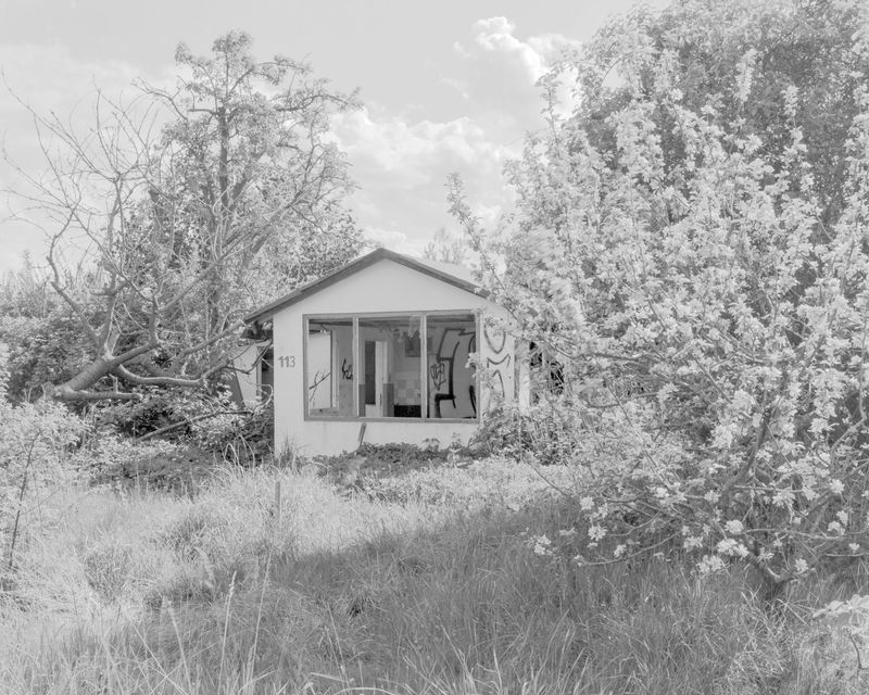 © Heiner L. Beisert - Gartenstudie