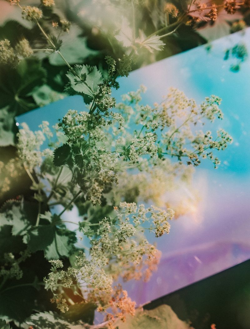 © Renata Chede - Image from the Inburgering photography project