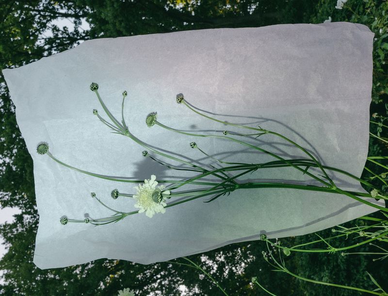 © Renata Chede - Image from the Inburgering photography project
