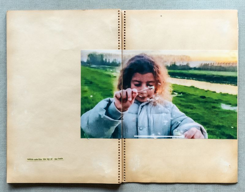 © Renata Chede - Image from the Inburgering photography project