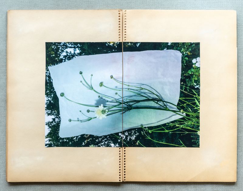 © Renata Chede - Image from the Inburgering photography project