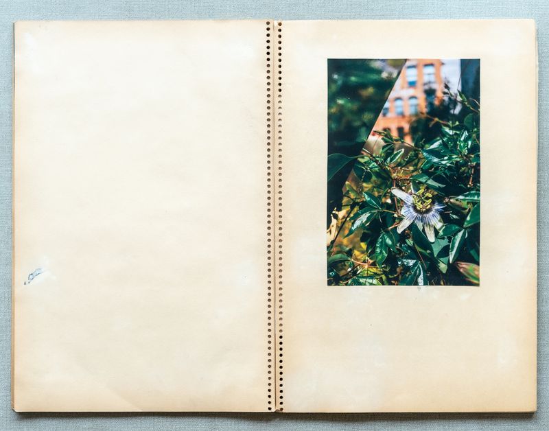 © Renata Chede - Image from the Inburgering photography project