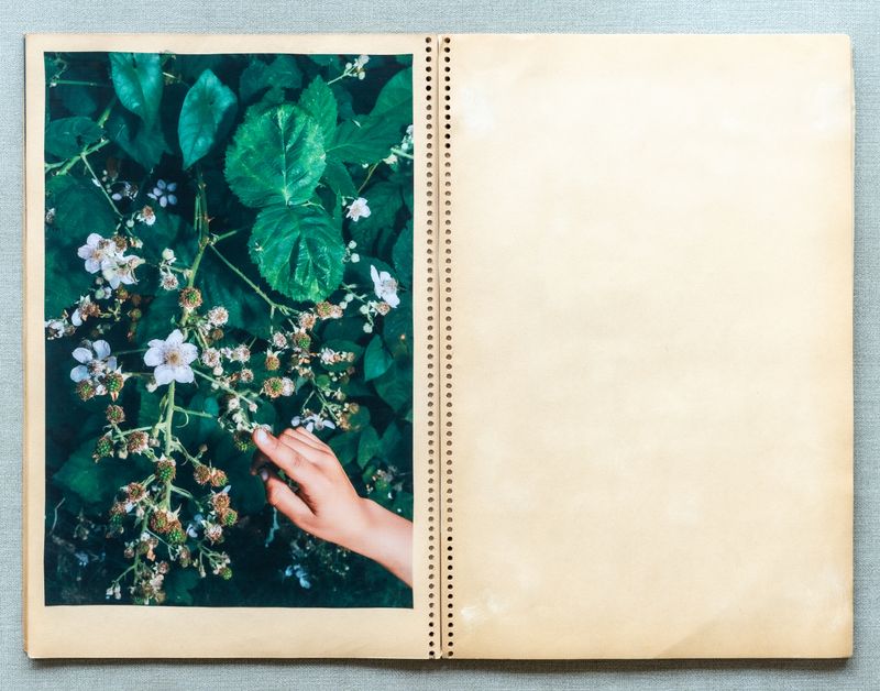 © Renata Chede - Image from the Inburgering photography project