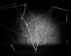 One's Door is Another's Floor